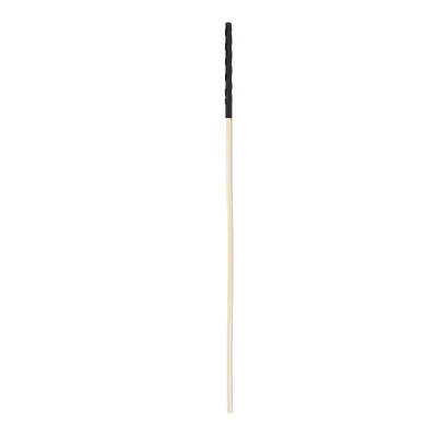 Bound to Please Spanking Cane
